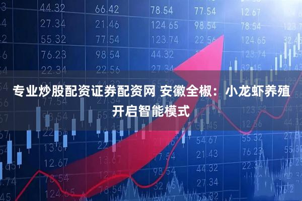 专业炒股配资证券配资网 安徽全椒：小龙虾养殖开启智能模式